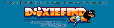 Find Dachshund Puppies and list your doxie puppies for FREE at www.DoxieFind.com - Visit us Now!